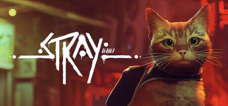 Stray Stray